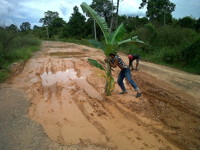 Karen kesal, Ketua RT 33 menanam pohon pisang di jalan yang rusak 